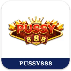 chelsea888-partner-7